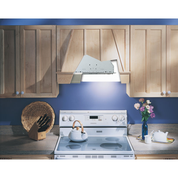 Broan Nutone PM250 Series 250 Cubic Feet Per Minute CFM Convertible